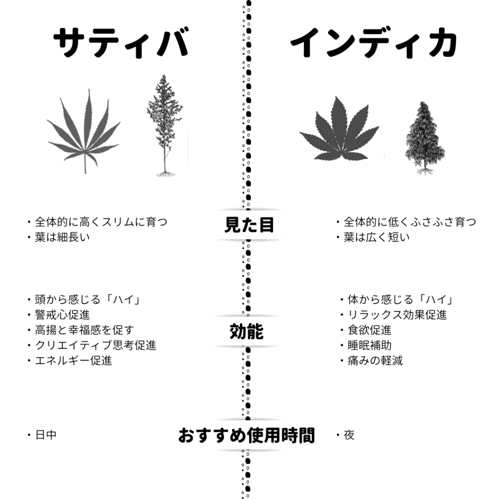 中級レベル グローバルで大注目のcbdを徹底解説 公式 Tokyo Mooon