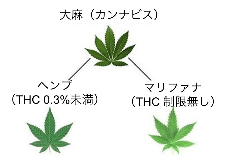 徹底解説 ヘンプとマリファナの違いについて 公式 Tokyo Mooon